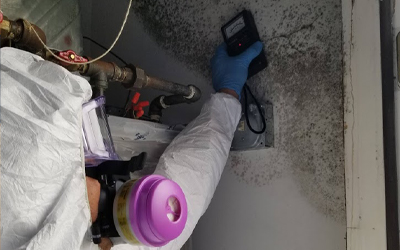 Taking Moisture Reading on Moldy Wall