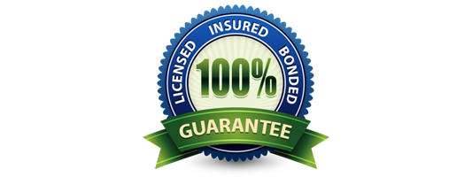 Fully Insured for liability, errors and ommisisons 
