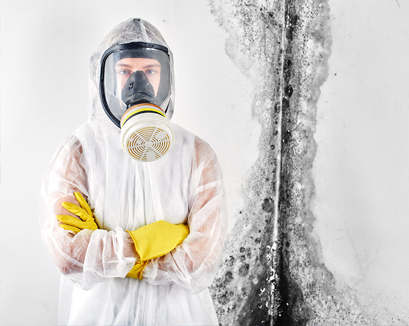 Mold remediation specialist with hazmat suit