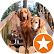 Customer Testimonails